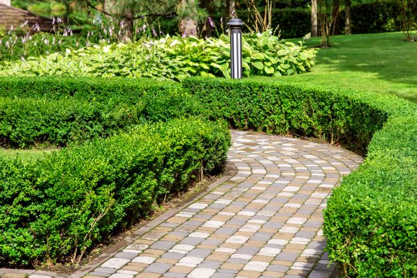 Paved Landscaping in Mesa