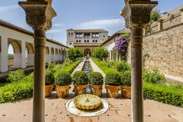 Courtyard Construction Service in Mesa