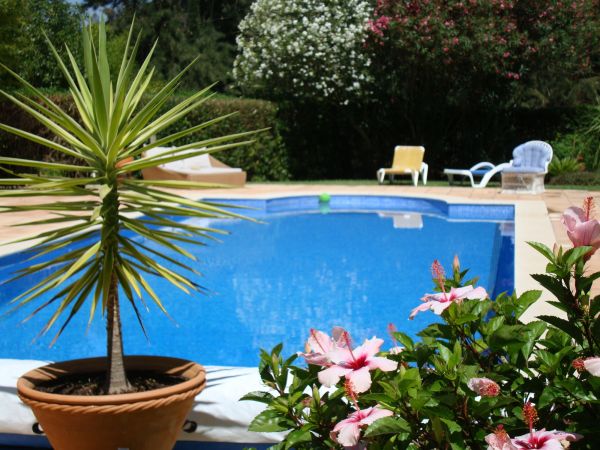 Pool Terrace Renovation in Mesa