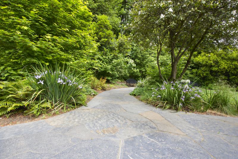 Landscaped Paver Walkway